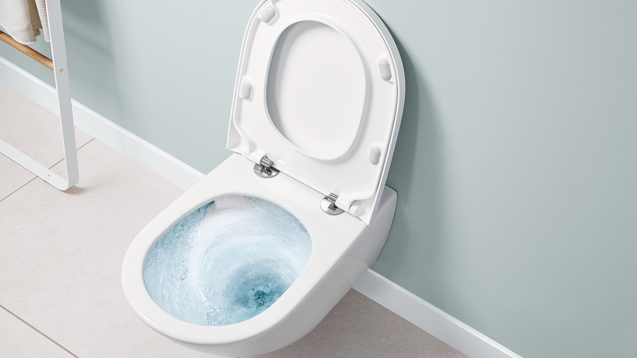 Flushing System